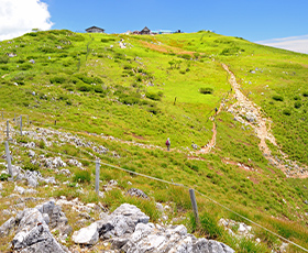 MOUNT IBUKI 伊吹山の風景