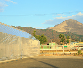 MOUNT IBUKI 伊吹山の風景